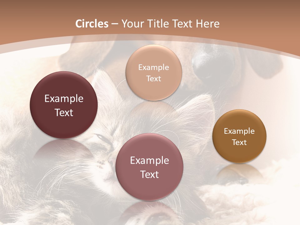 Single Dog Life PowerPoint Template