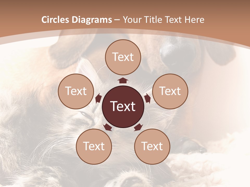 Single Dog Life PowerPoint Template