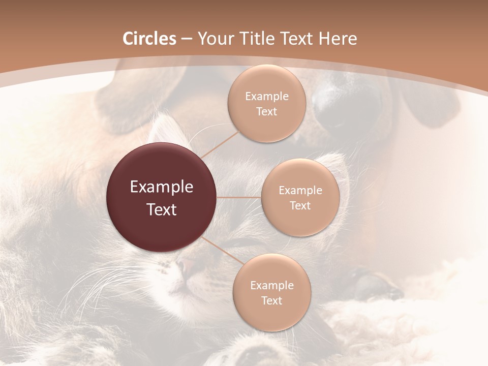 Single Dog Life PowerPoint Template