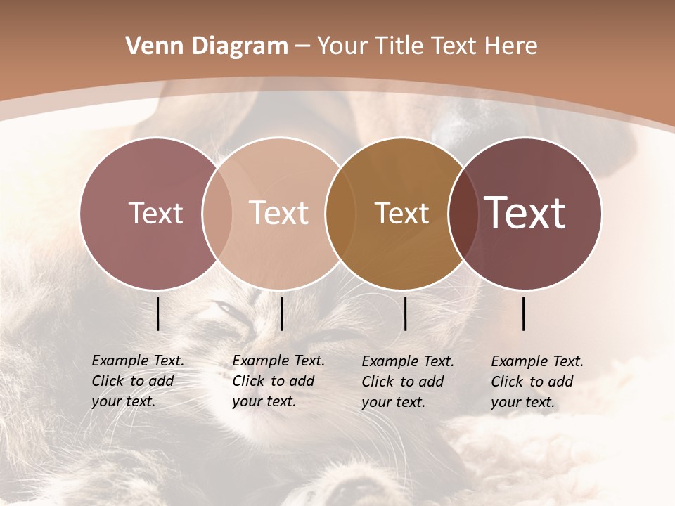 Single Dog Life PowerPoint Template