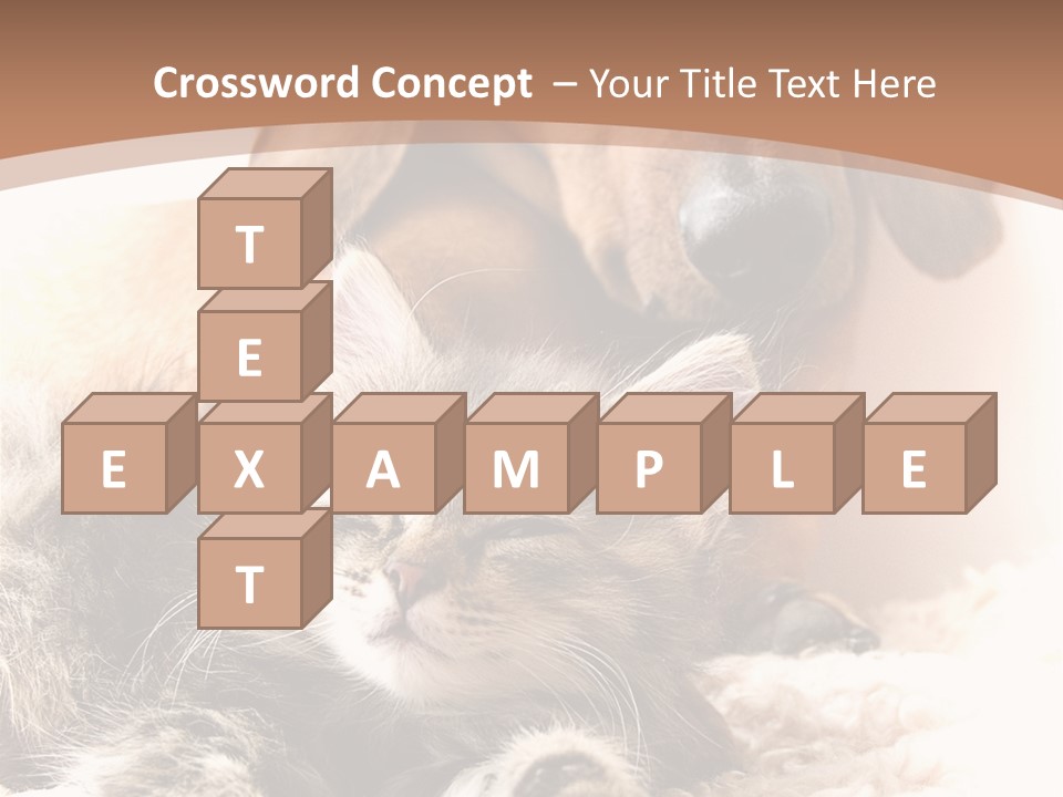 Single Dog Life PowerPoint Template