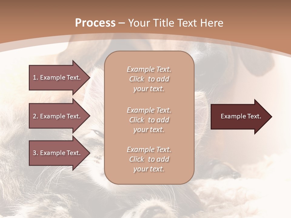 Single Dog Life PowerPoint Template