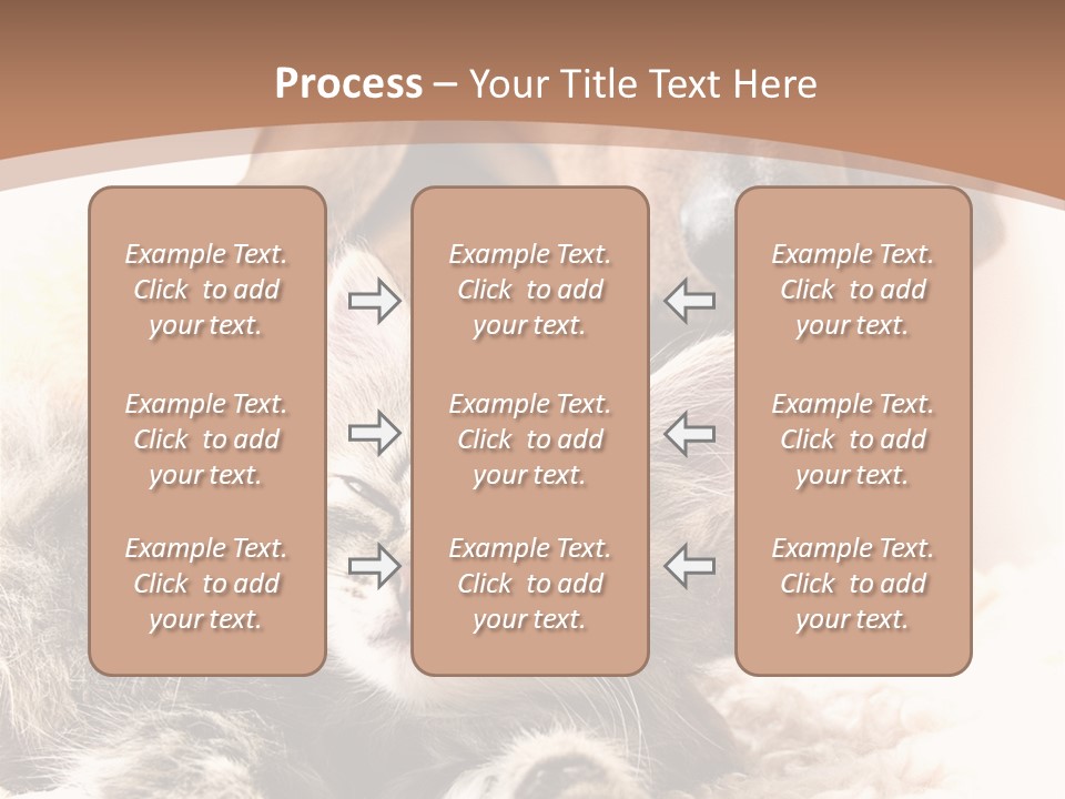 Single Dog Life PowerPoint Template