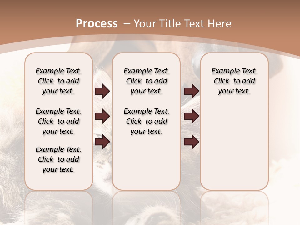 Single Dog Life PowerPoint Template
