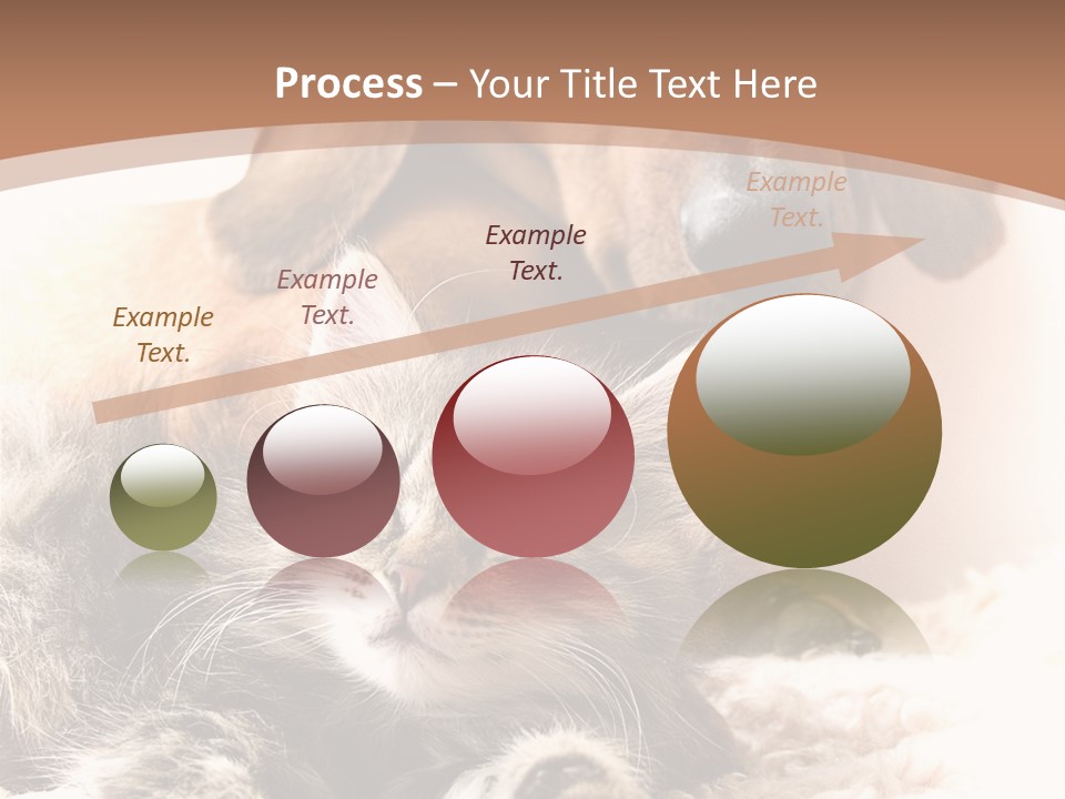 Single Dog Life PowerPoint Template