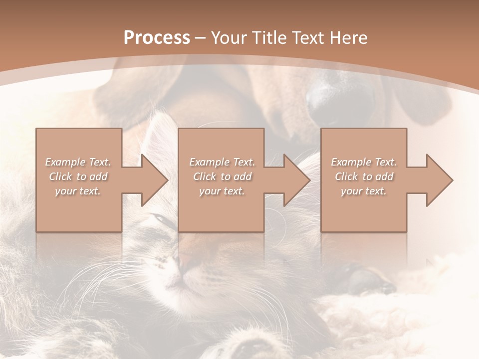 Single Dog Life PowerPoint Template