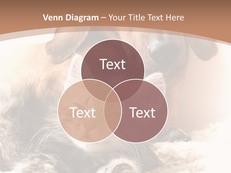 Single Dog Life PowerPoint Template