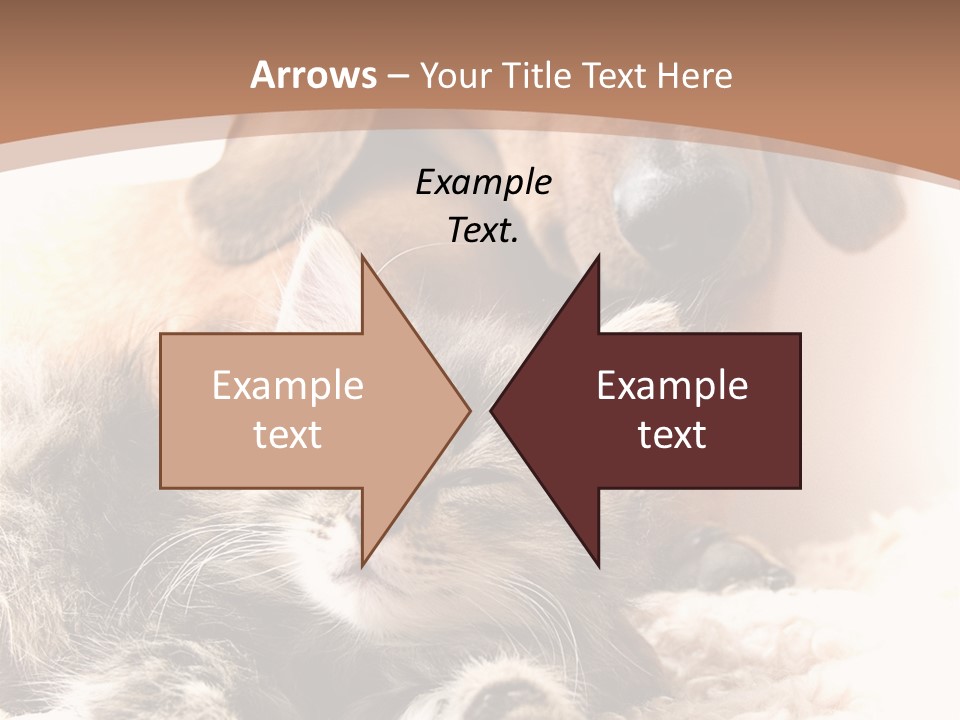 Single Dog Life PowerPoint Template