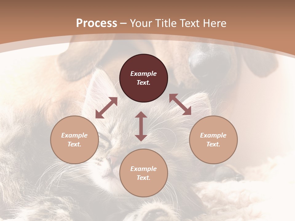 Single Dog Life PowerPoint Template