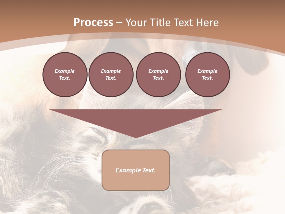 Single Dog Life PowerPoint Template