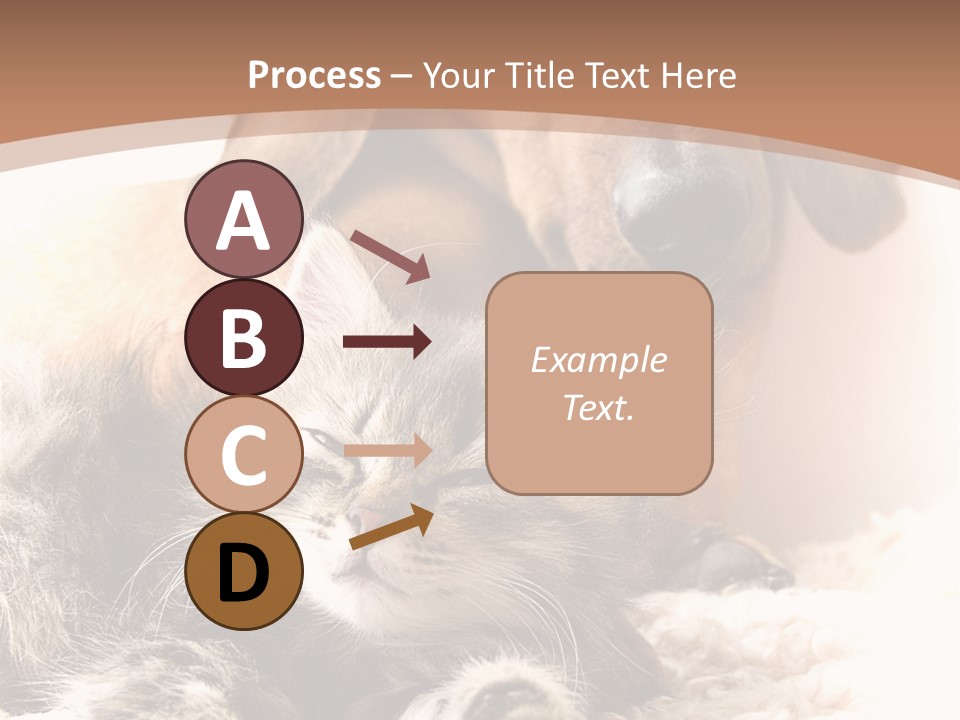 Single Dog Life PowerPoint Template