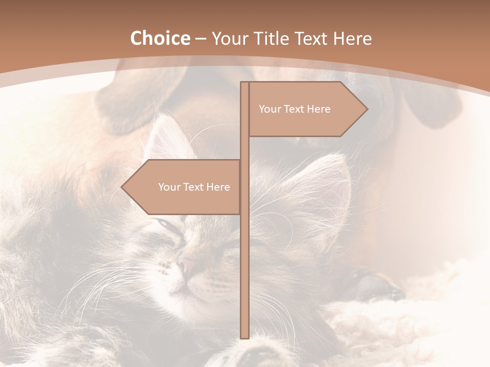 Single Dog Life PowerPoint Template