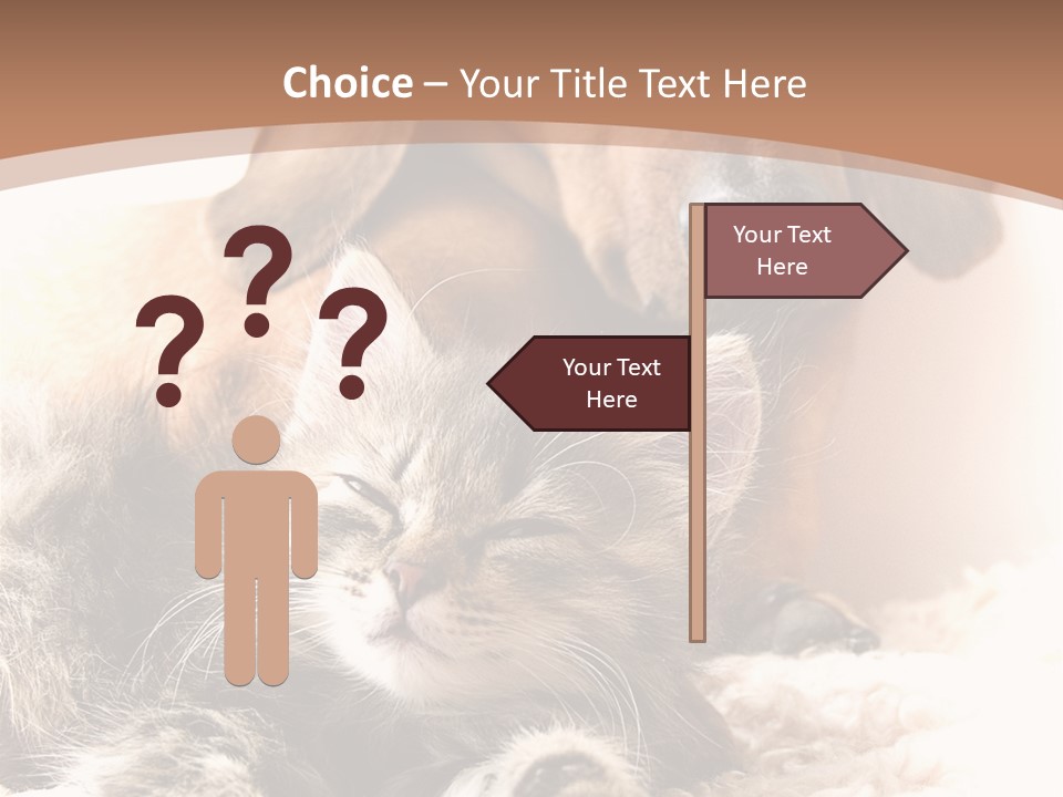 Single Dog Life PowerPoint Template