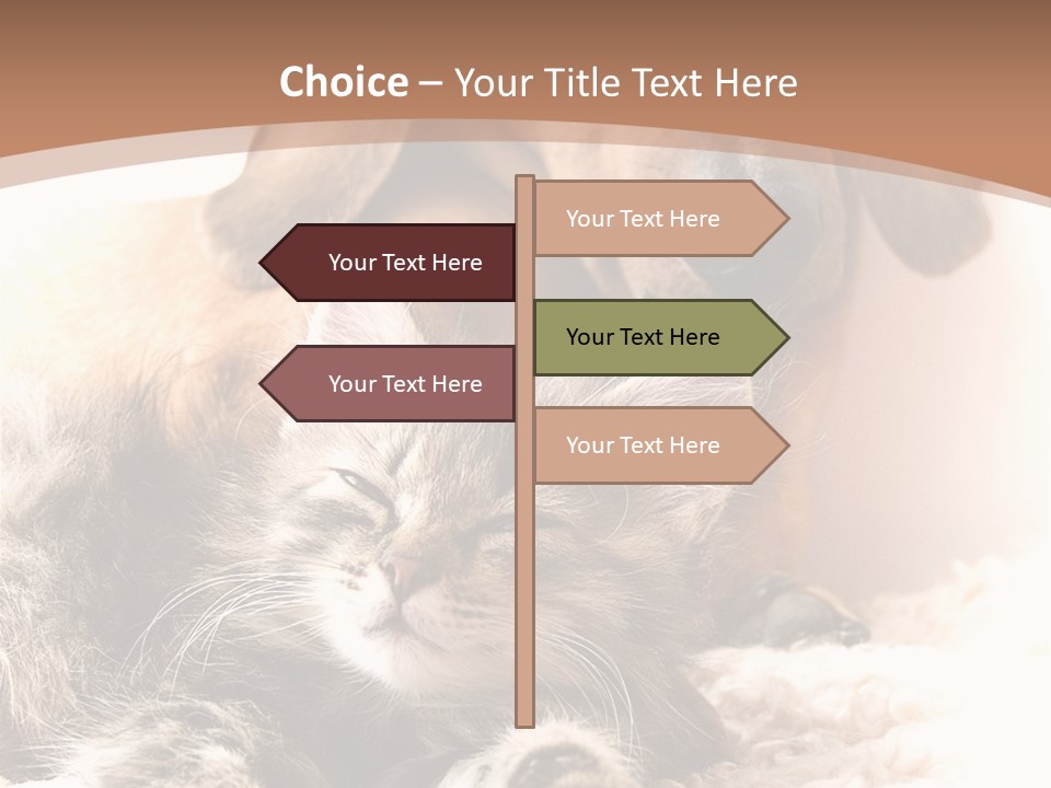 Single Dog Life PowerPoint Template