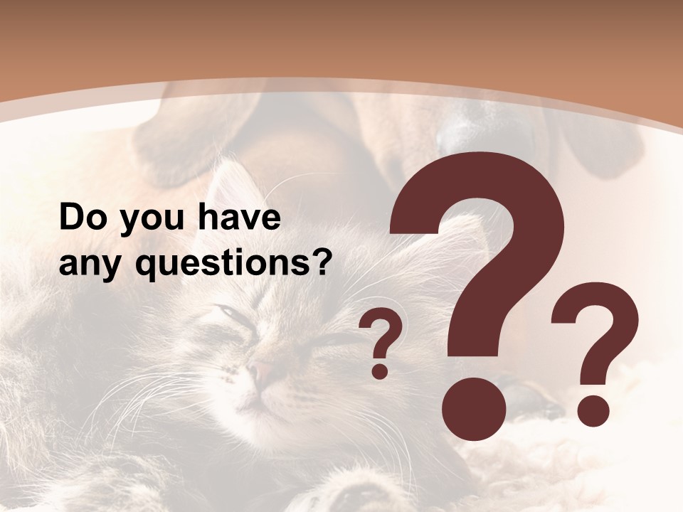 Single Dog Life PowerPoint Template