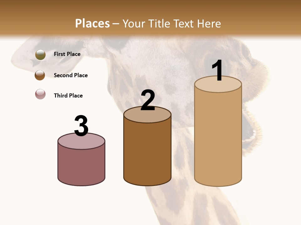 Wildlife Wild Animal Animal PowerPoint Template