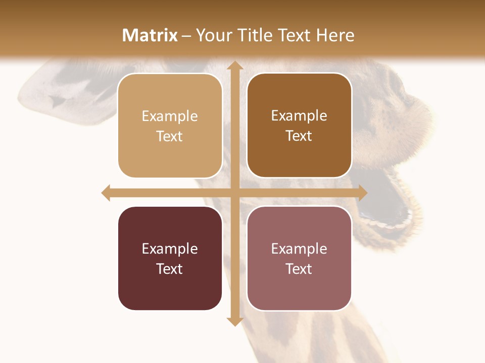 Wildlife Wild Animal Animal PowerPoint Template