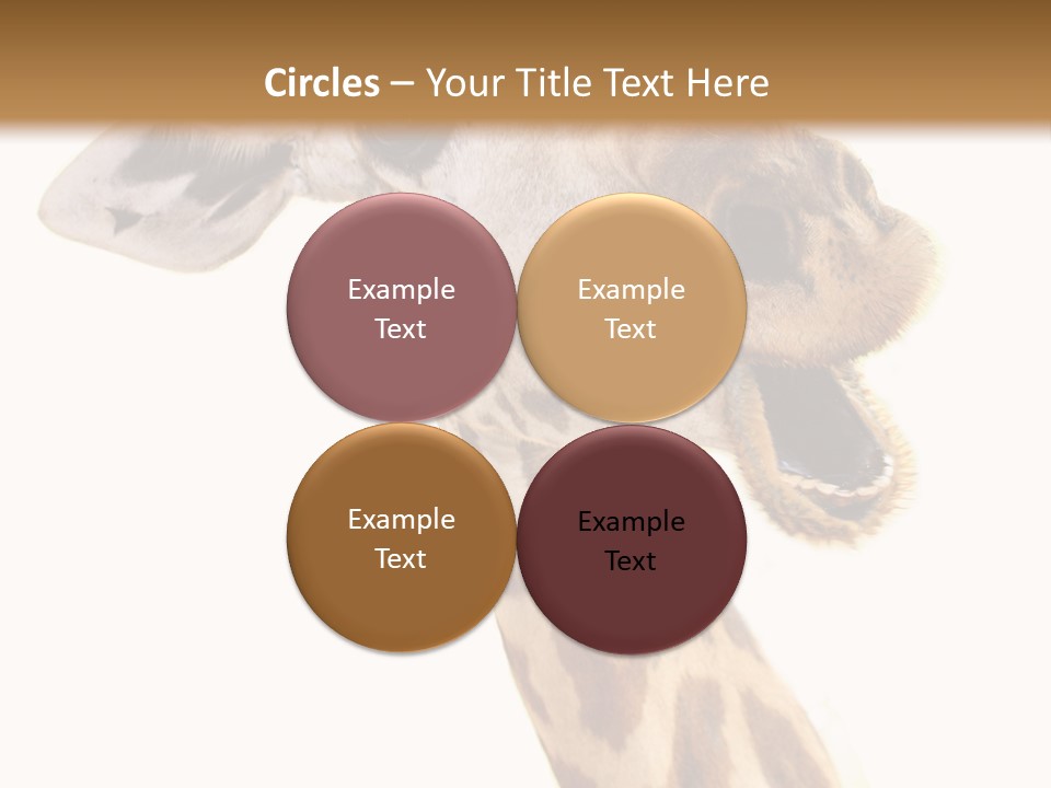 Wildlife Wild Animal Animal PowerPoint Template