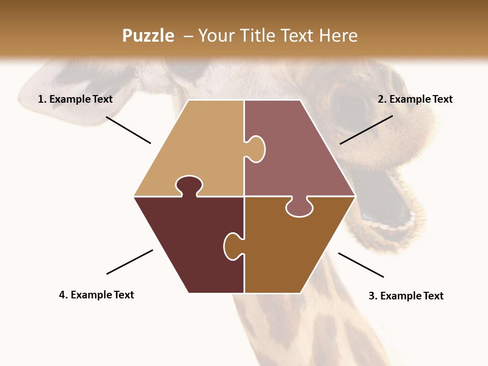 Wildlife Wild Animal Animal PowerPoint Template