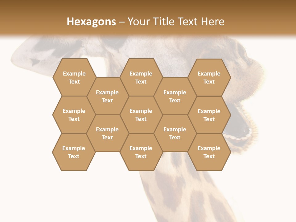 Wildlife Wild Animal Animal PowerPoint Template