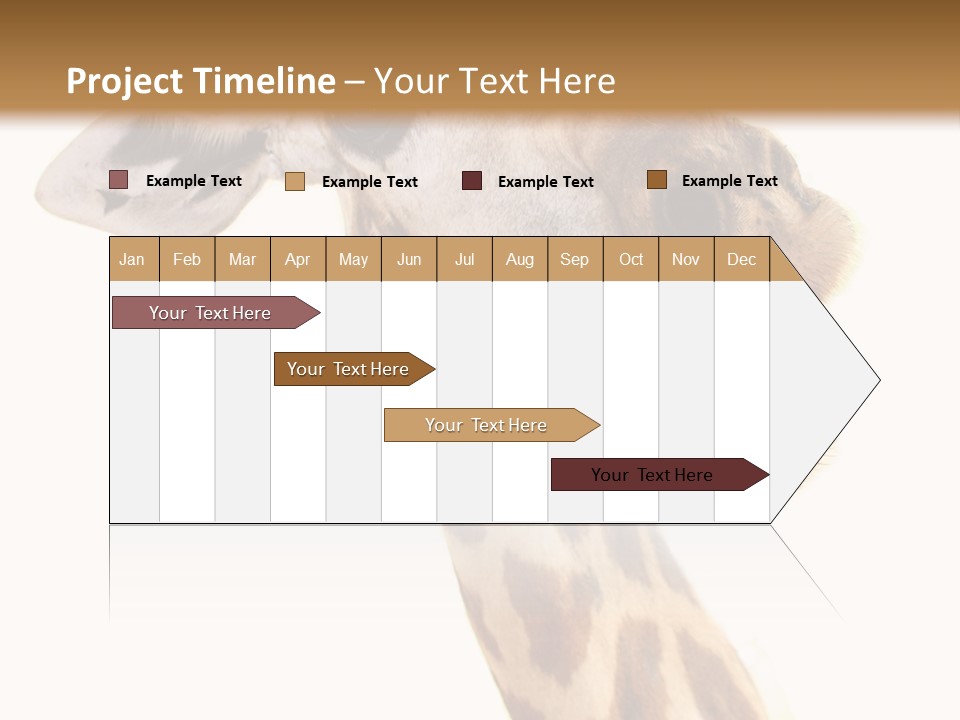 Wildlife Wild Animal Animal PowerPoint Template