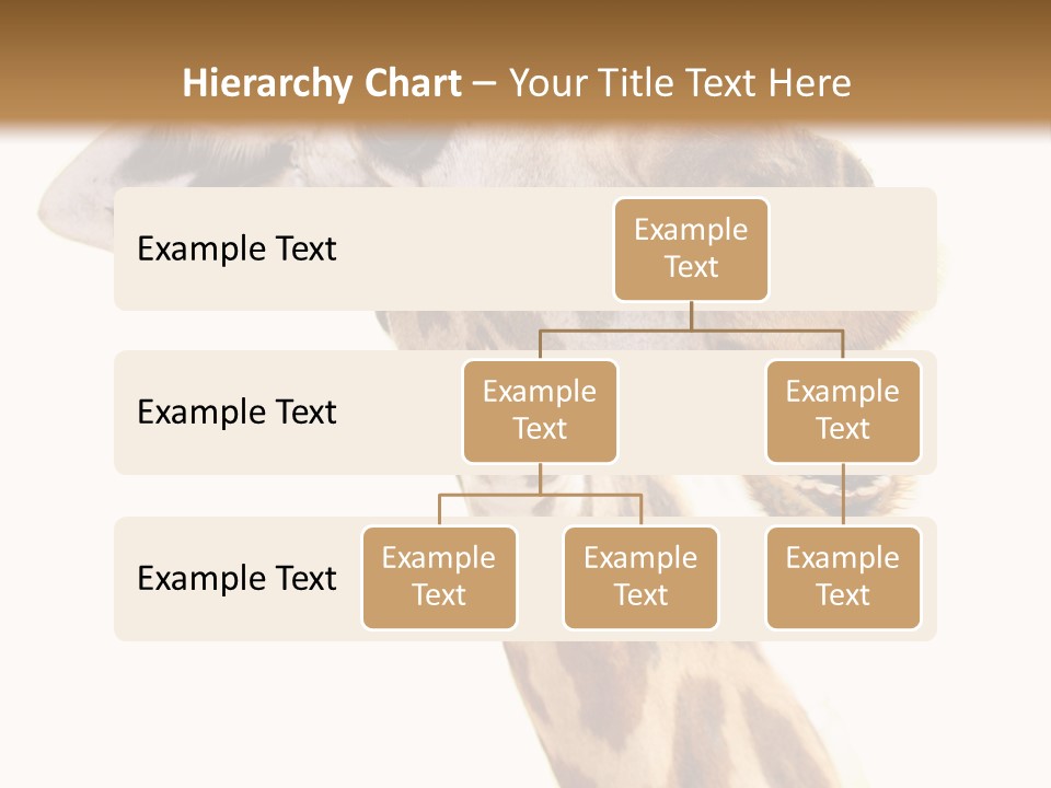 Wildlife Wild Animal Animal PowerPoint Template