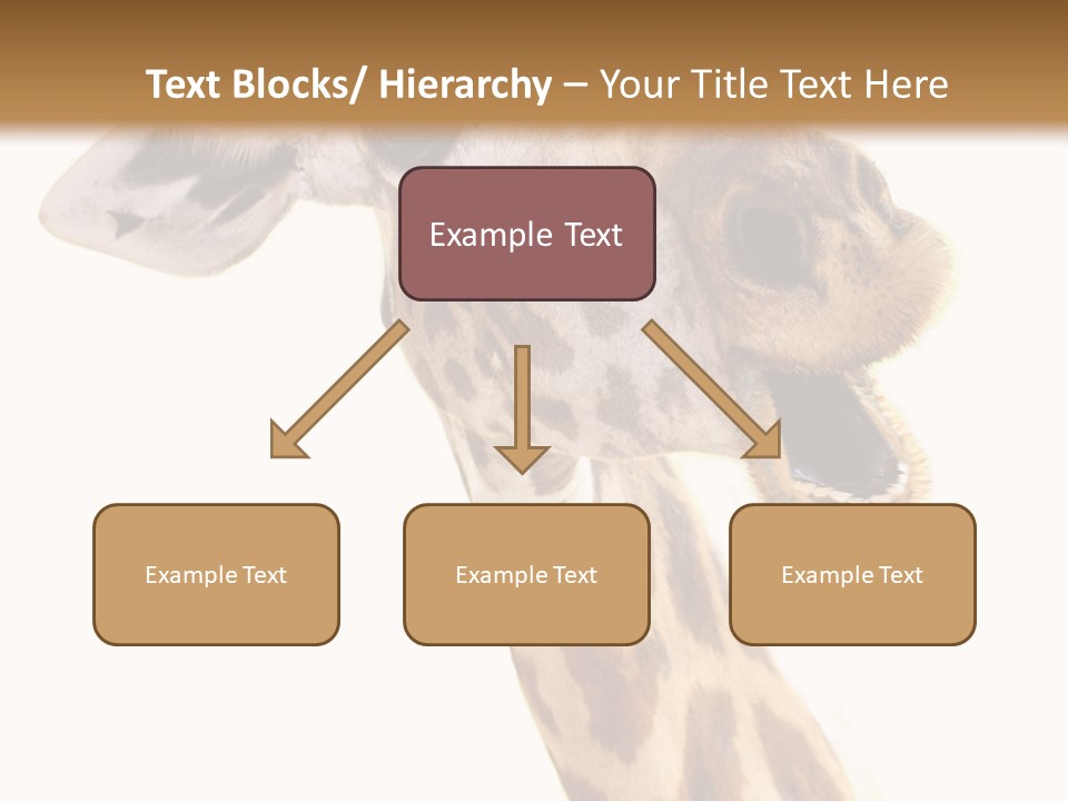 Wildlife Wild Animal Animal PowerPoint Template