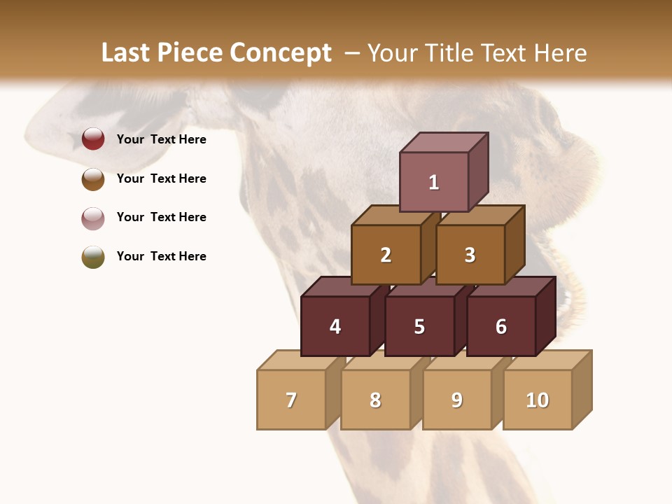 Wildlife Wild Animal Animal PowerPoint Template