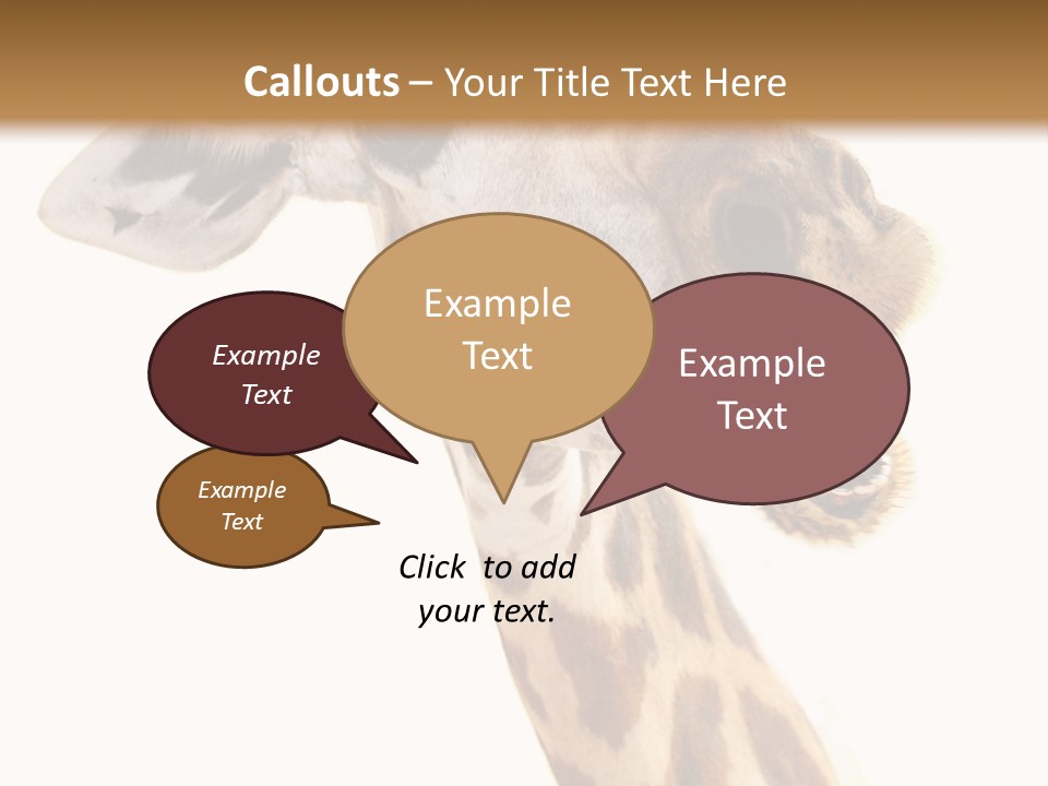 Wildlife Wild Animal Animal PowerPoint Template