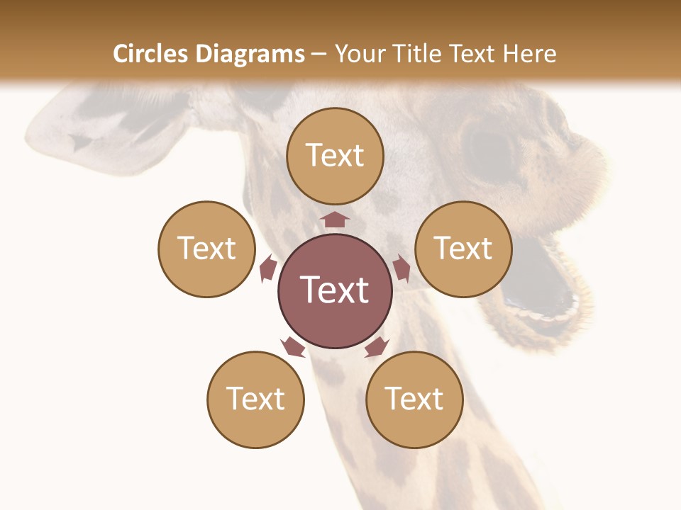 Wildlife Wild Animal Animal PowerPoint Template