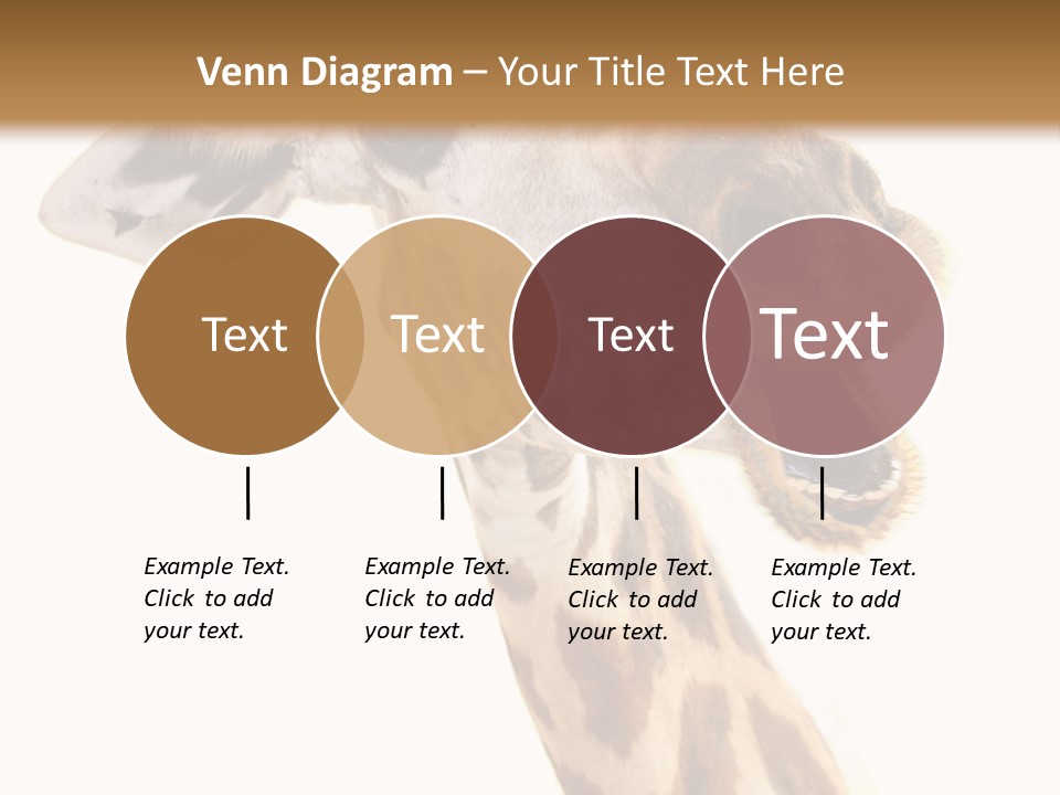 Wildlife Wild Animal Animal PowerPoint Template