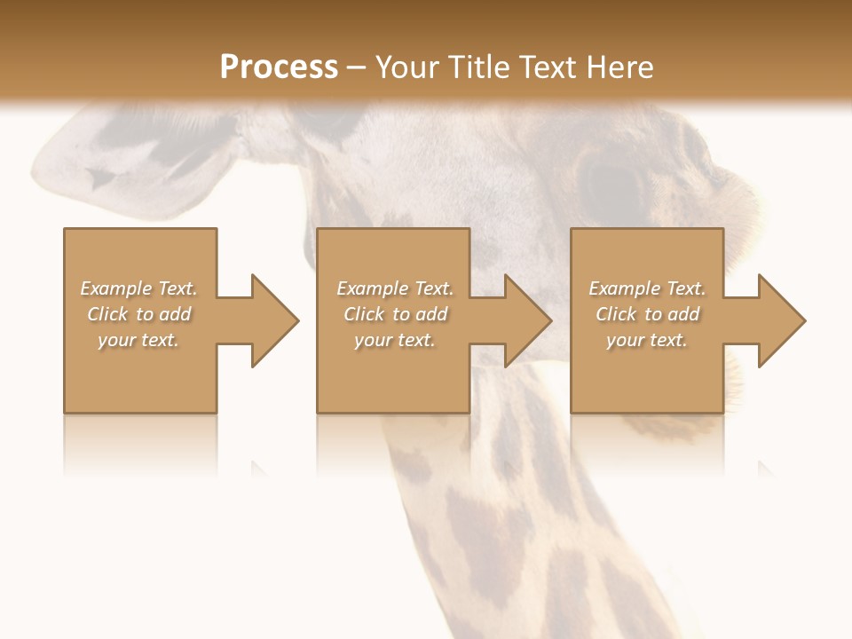 Wildlife Wild Animal Animal PowerPoint Template