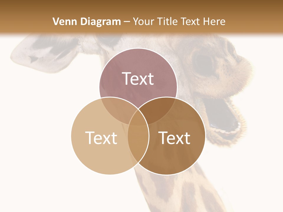 Wildlife Wild Animal Animal PowerPoint Template