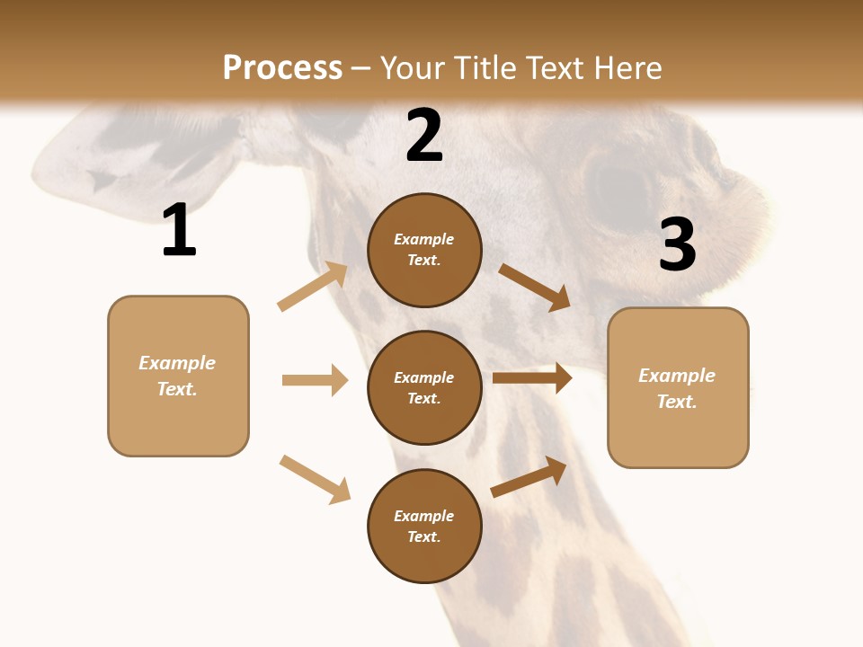 Wildlife Wild Animal Animal PowerPoint Template