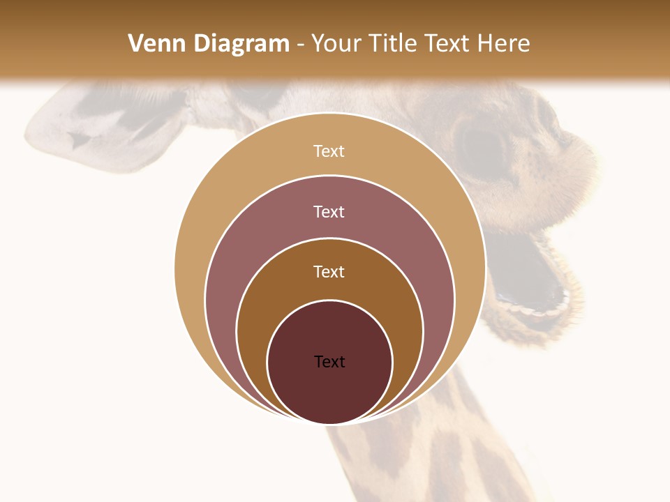 Wildlife Wild Animal Animal PowerPoint Template