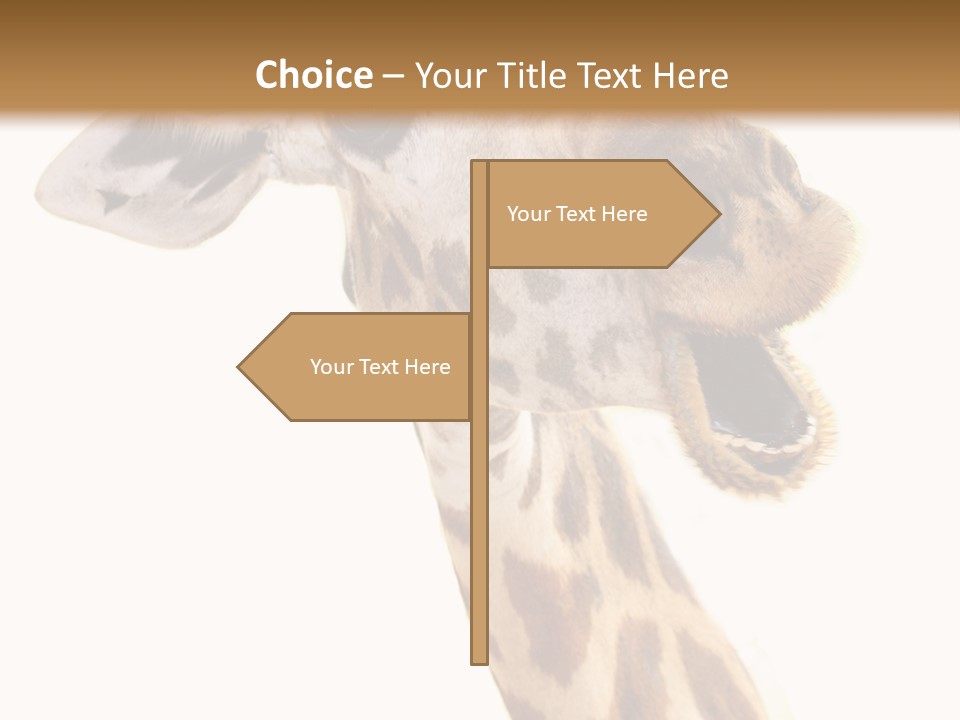 Wildlife Wild Animal Animal PowerPoint Template
