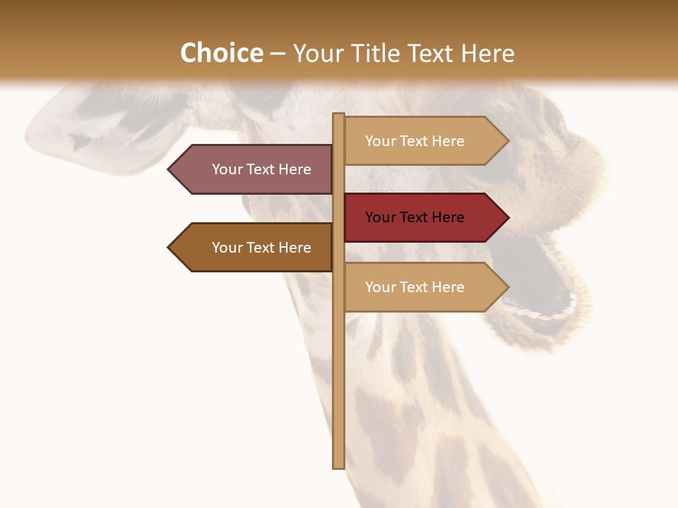 Wildlife Wild Animal Animal PowerPoint Template