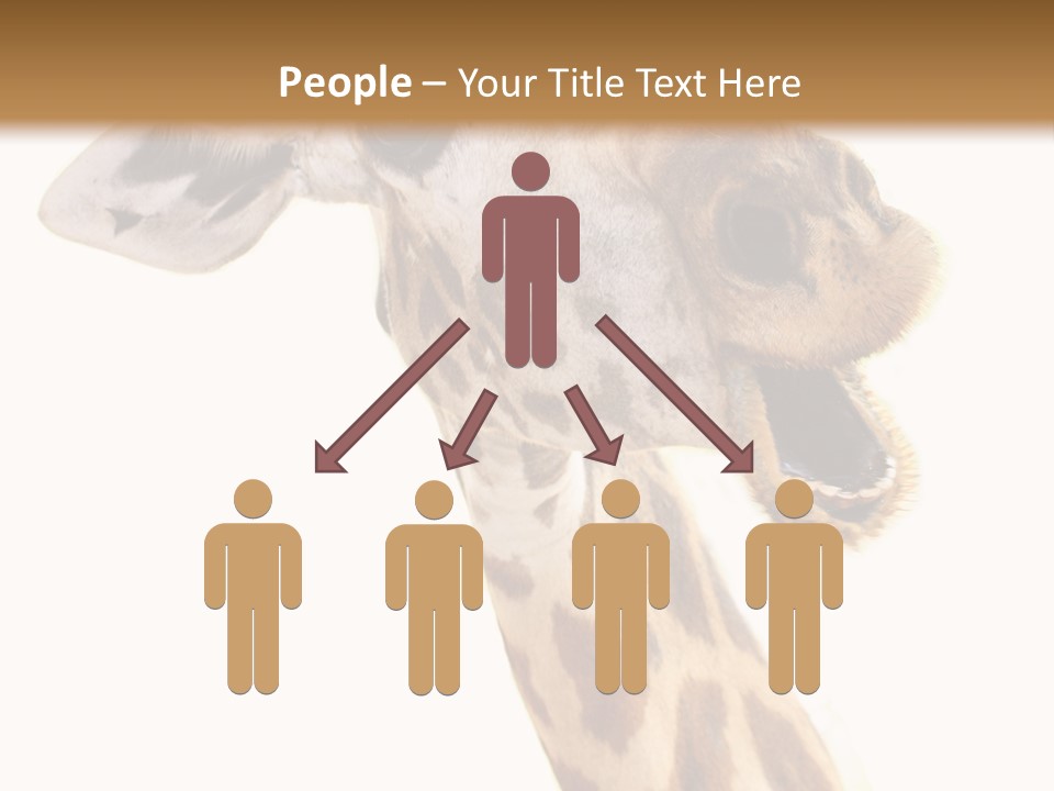 Wildlife Wild Animal Animal PowerPoint Template