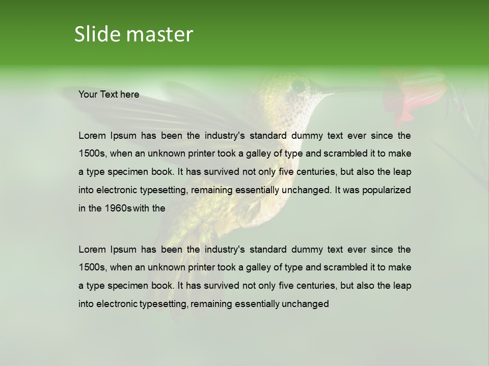 Wings Beak Hummingbird PowerPoint Template