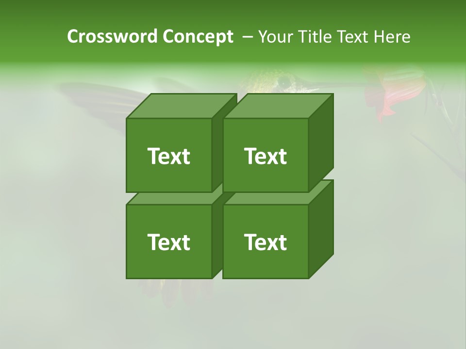 Wings Beak Hummingbird PowerPoint Template
