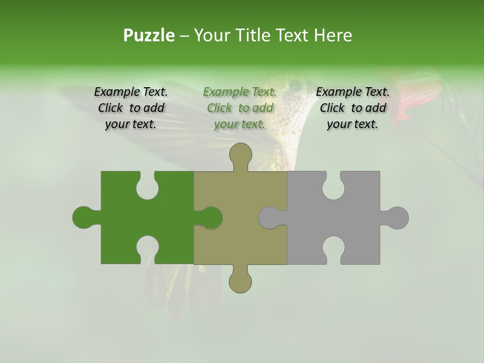 Wings Beak Hummingbird PowerPoint Template