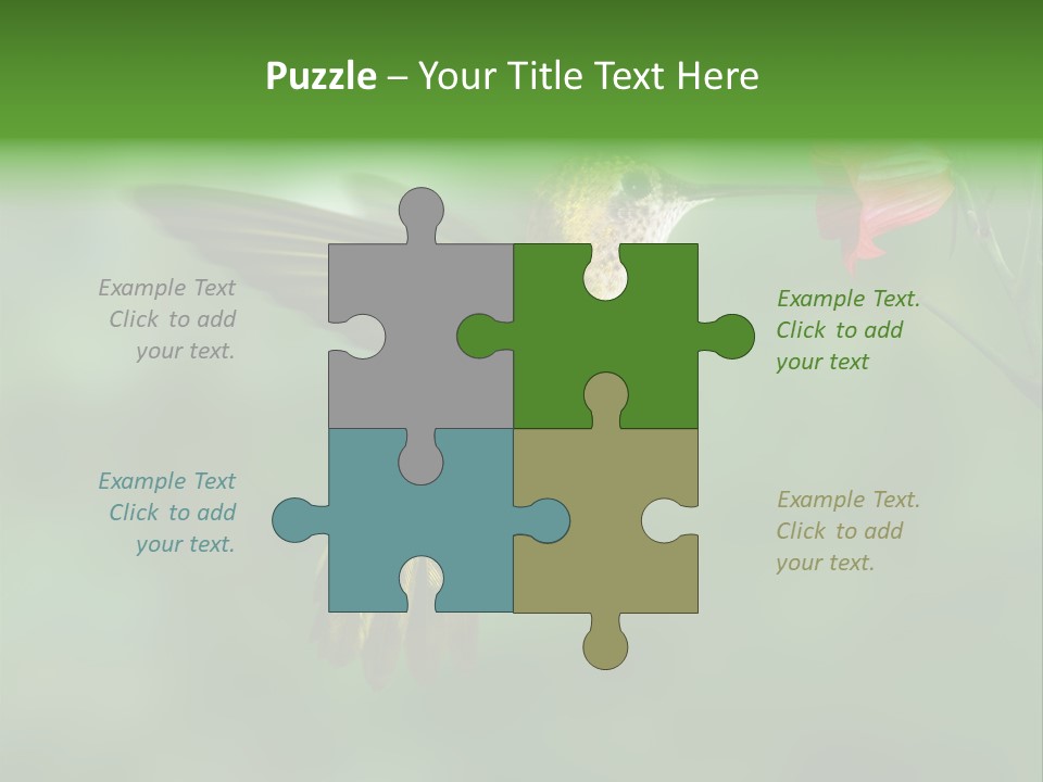 Wings Beak Hummingbird PowerPoint Template