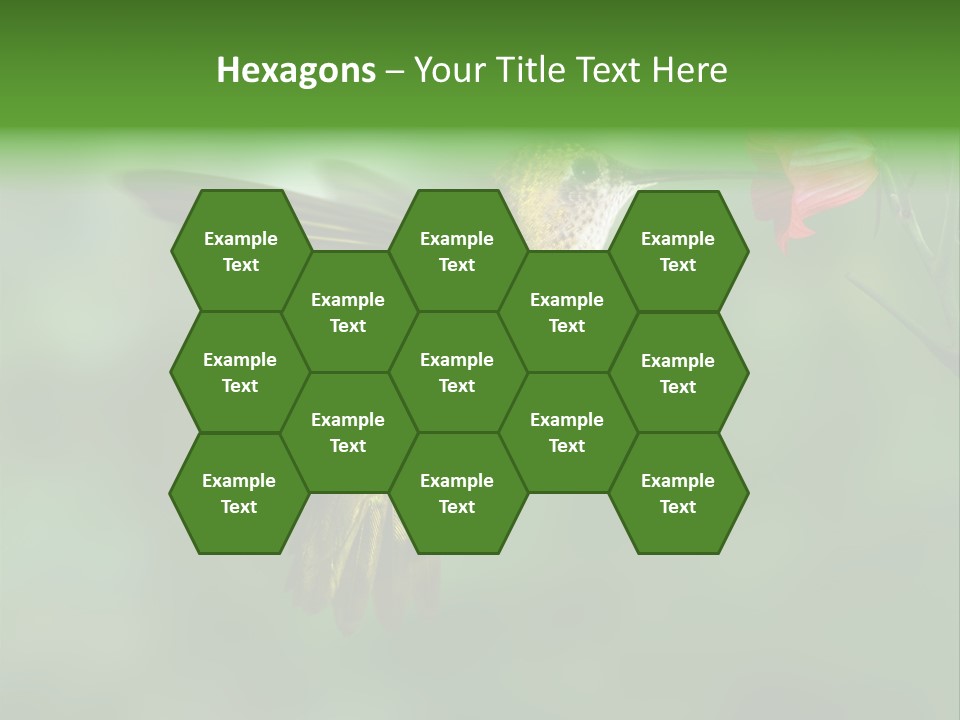 Wings Beak Hummingbird PowerPoint Template