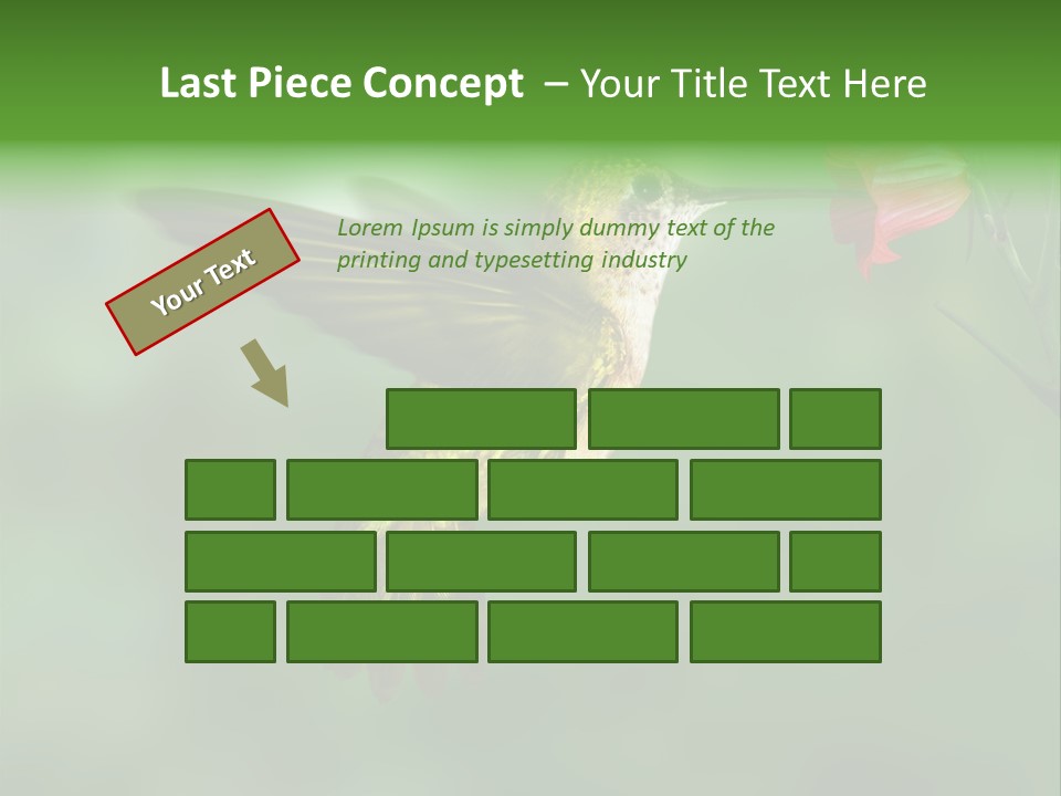 Wings Beak Hummingbird PowerPoint Template