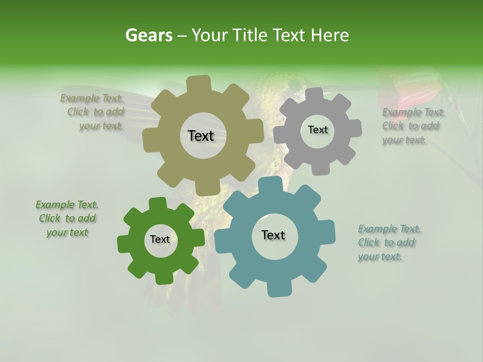 Wings Beak Hummingbird PowerPoint Template