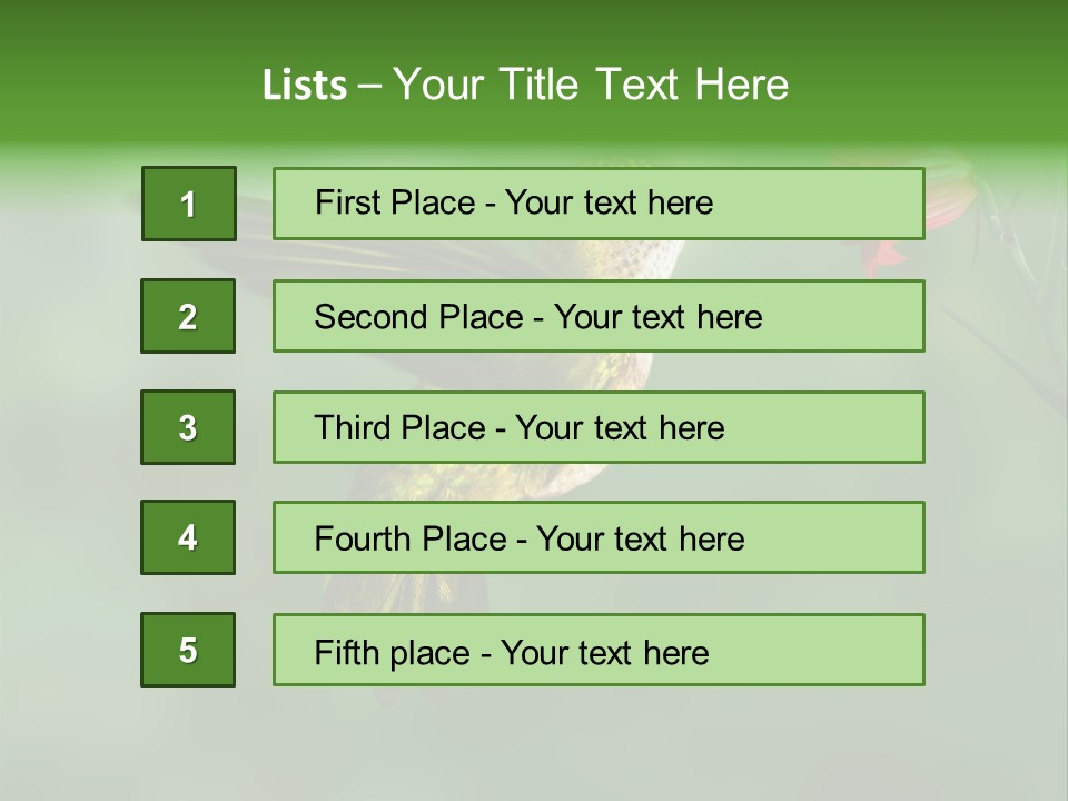 Wings Beak Hummingbird PowerPoint Template