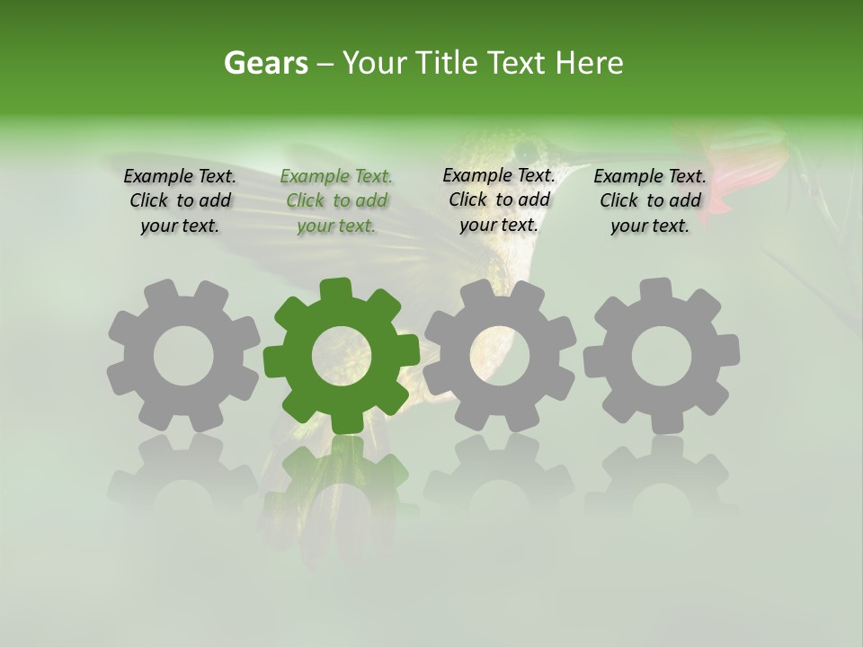 Wings Beak Hummingbird PowerPoint Template