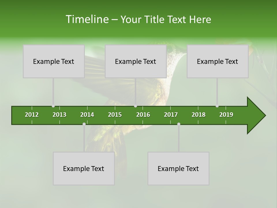 Wings Beak Hummingbird PowerPoint Template