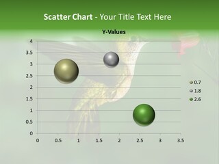 Wings Beak Hummingbird PowerPoint Template
