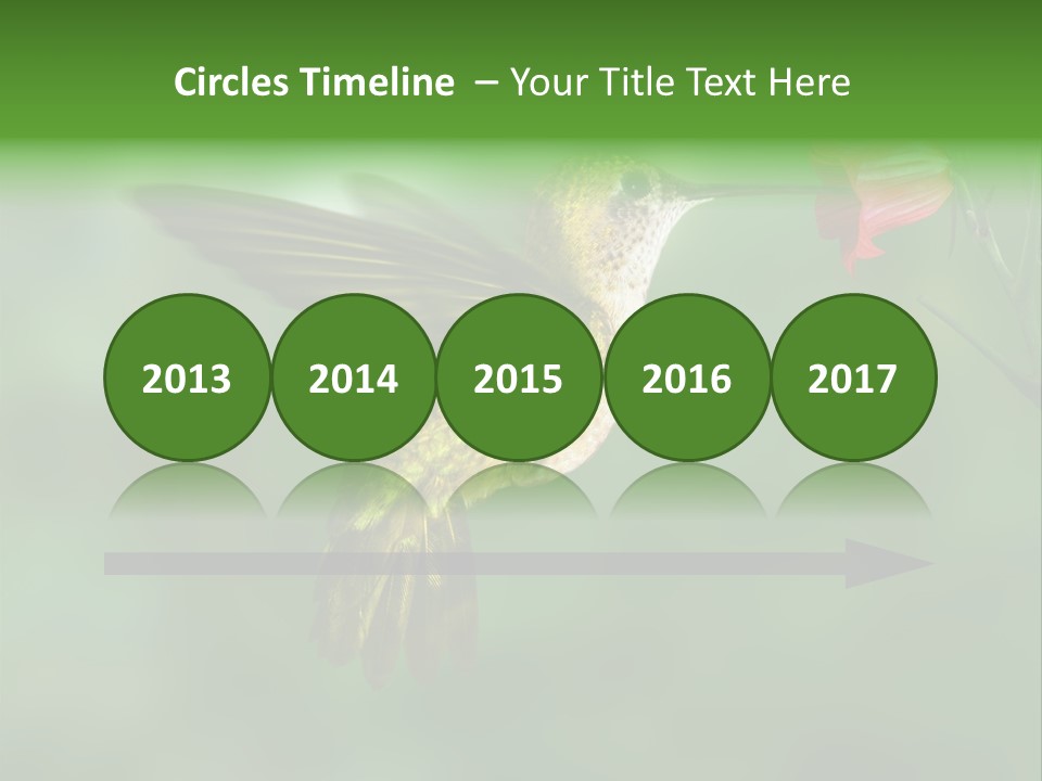 Wings Beak Hummingbird PowerPoint Template